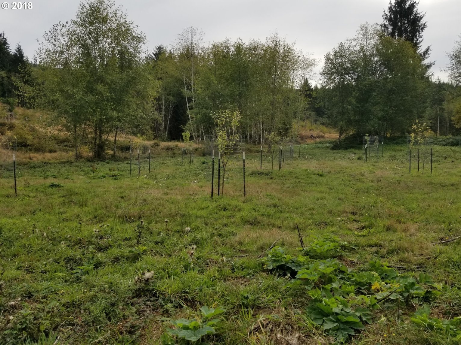 Elochoman Valley Cathlamet, WA 98612 - Photo 18 of 26