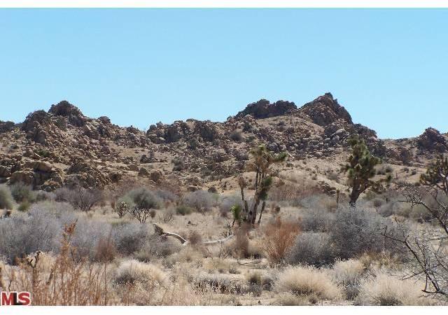 0 Chaparosa Road Pioneertown, CA 92268 - Photo 6 of 8 Gallery Image 6