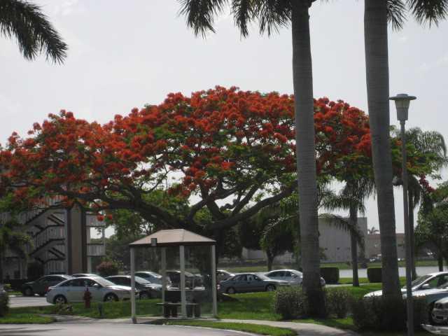 2029 Cornwall East, Unit 2029 Boca Raton, FL 33434 - Photo 19 of 25 Gallery Image 19