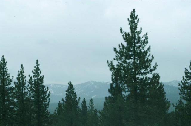 11759 China Camp Road Truckee, CA 96161 - Photo 6 of 7