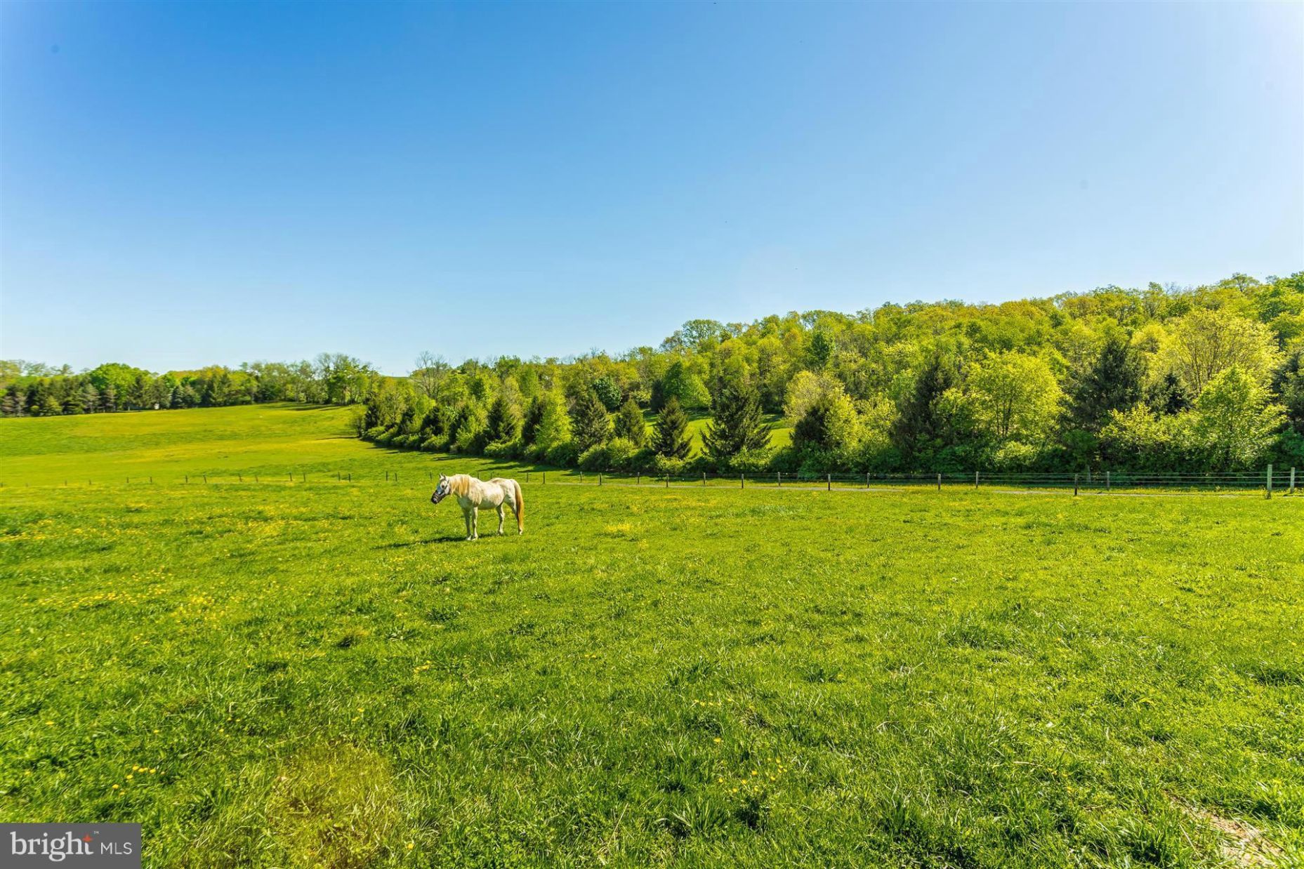 11722 Green Valley Road Union Bridge, MD 21791 - Photo 7 of 29