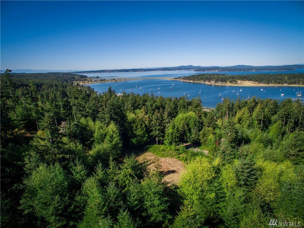 Dragon Run Road Lopez Island, WA 98261 - Photo 12 of 25