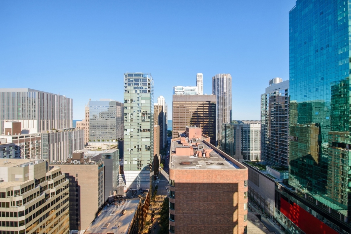 550 N St Clair St, Chicago, IL 60611 - Photo 5 of 5