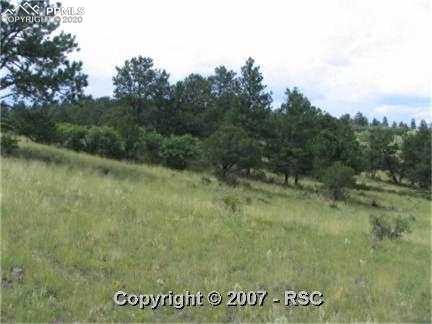 427 Cheyenne Road Florissant, CO 80816 - Photo 3 of 7 Gallery Image 3