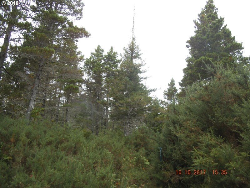 0 County Dump Road Bandon, OR 97411 - Photo 11 of 14 Gallery Image 11