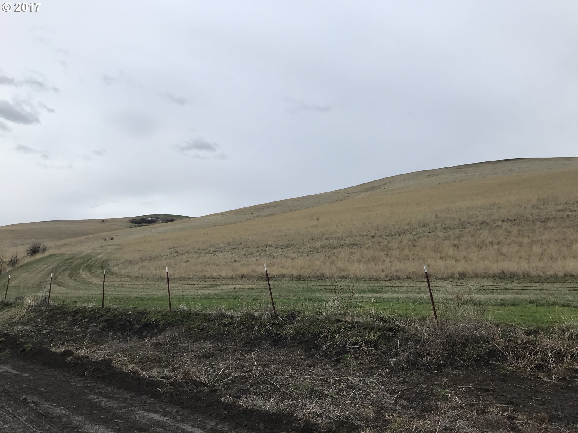 Holmes Road Pendleton, OR 97801 - Photo 4 of 6