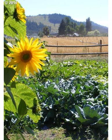 490 Sunnyside Road Trout Lake, WA 98650 - Photo 15 of 16 Gallery Image 15