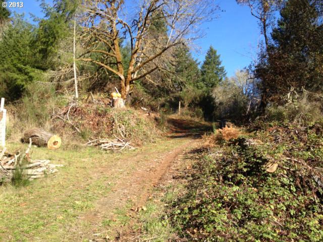 0 Curtin Road Drain, OR 97435 - Photo 2 of 9