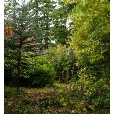 5901 Southwest Garden Home Road Portland, OR 97219 - Photo 7 of 13 Gallery Image 7