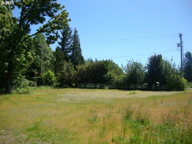 0 East Larch Mountain Road Corbett, OR 97019 - Photo 2 of 2
