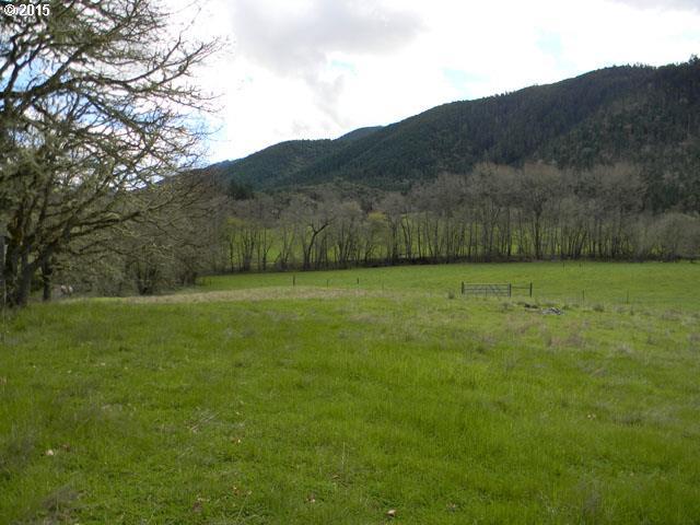 809 Evergreen Ridge Road Riddle, OR 97469 - Photo 3 of 16