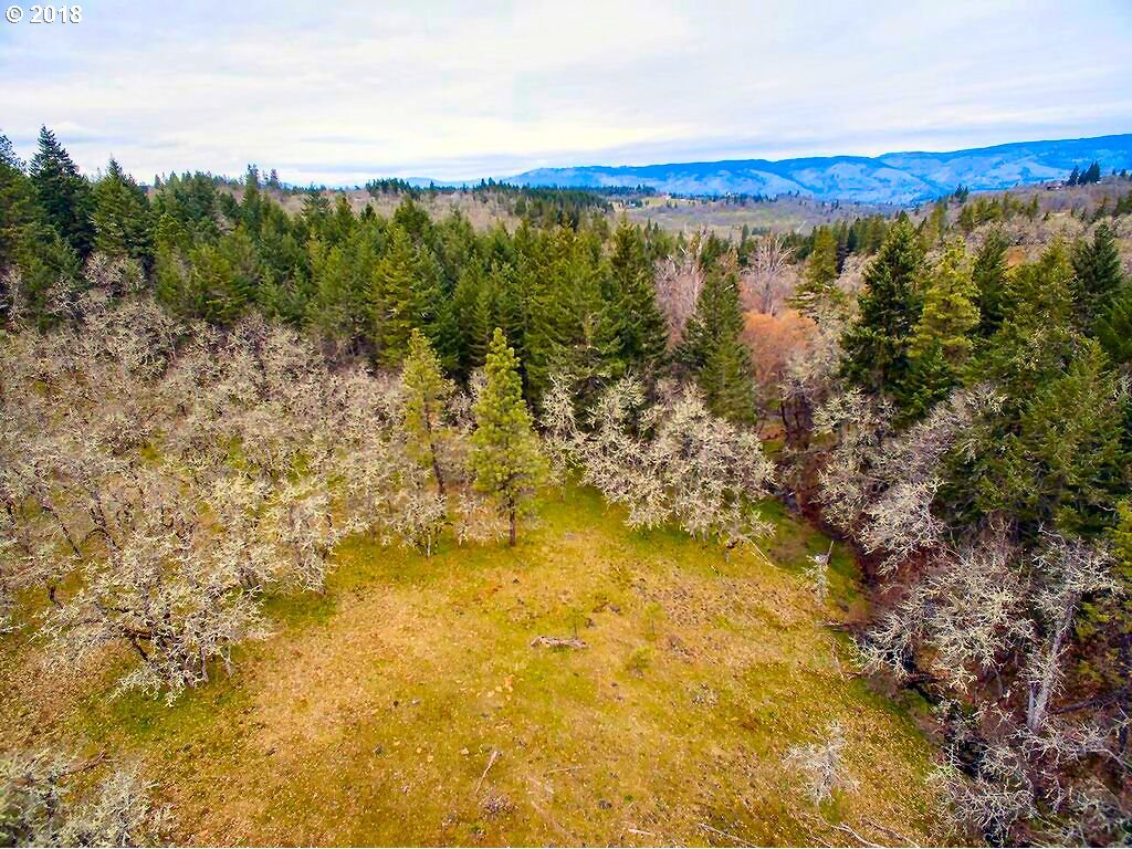 2012 Lonely Lane Mosier, OR 97040 - Photo 9 of 26 Gallery Image 9
