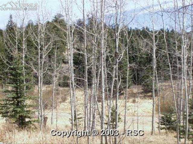 753 Valley Road Florissant, CO 80816 - Photo 2 of 3