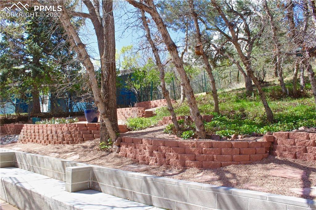 210 Crystal Park Road Manitou Springs, CO 80829 - Photo 32 of 34 Lots of Mature Trees and Shrubs!