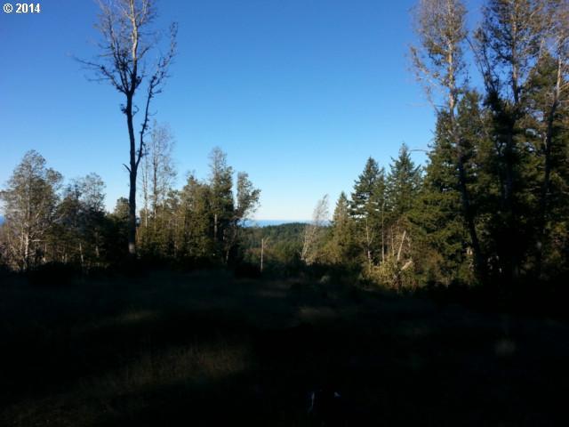 Stagecoach Road Brookings, OR 97415 - Photo 5 of 5