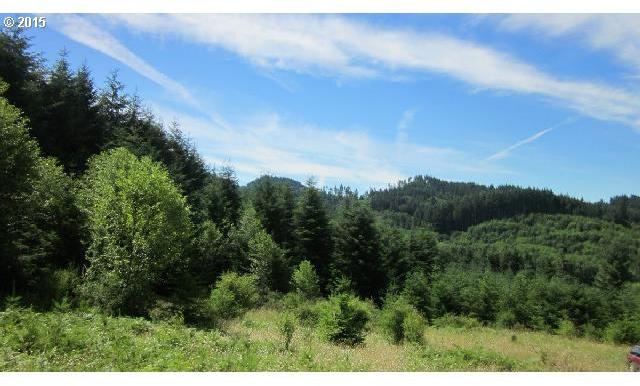 King Road Winlock, WA 98596 - Photo 1 of 16