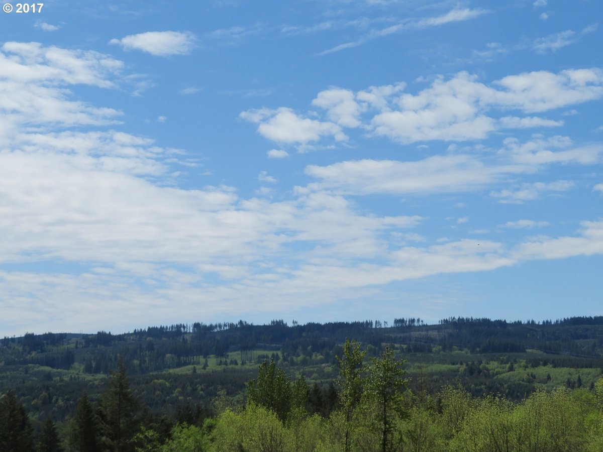 South Military Road Winlock, WA 98596 - Photo 12 of 26