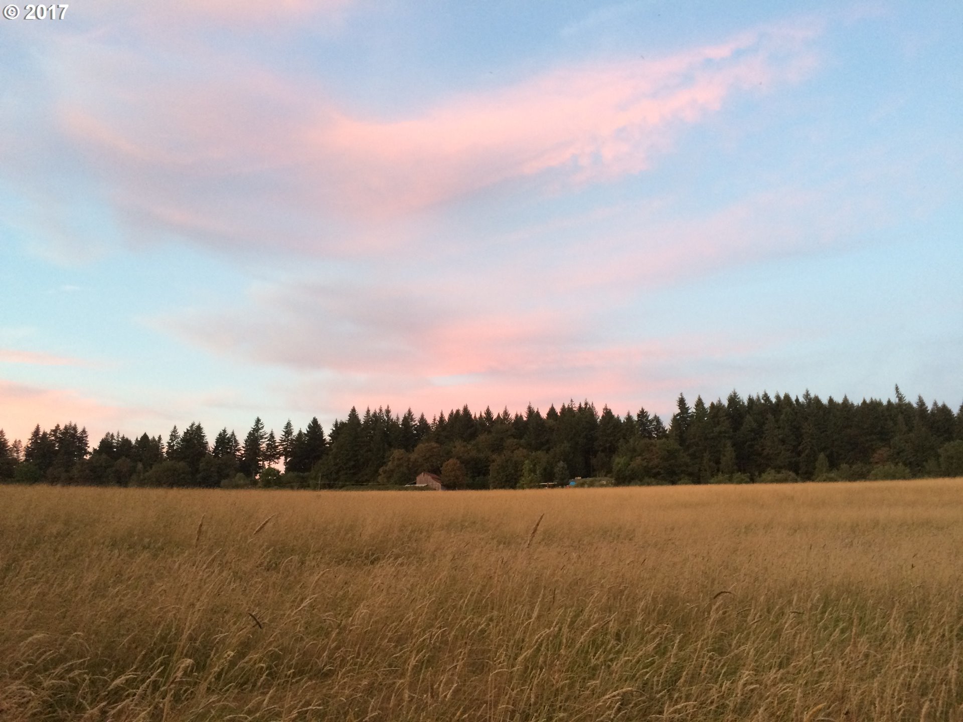25091 South Central Point Road Canby, OR 97013 - Photo 4 of 18