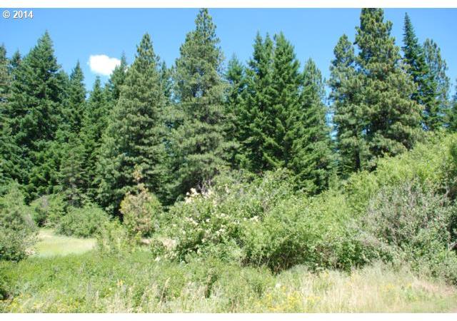 Canyon, Unit 4 Appleton, WA 98602 - Photo 11 of 16 Gallery Image 11