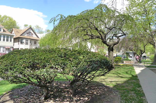 310 Lenox Road, Unit 5F Brooklyn, NY 11226 - Photo 8 of 9