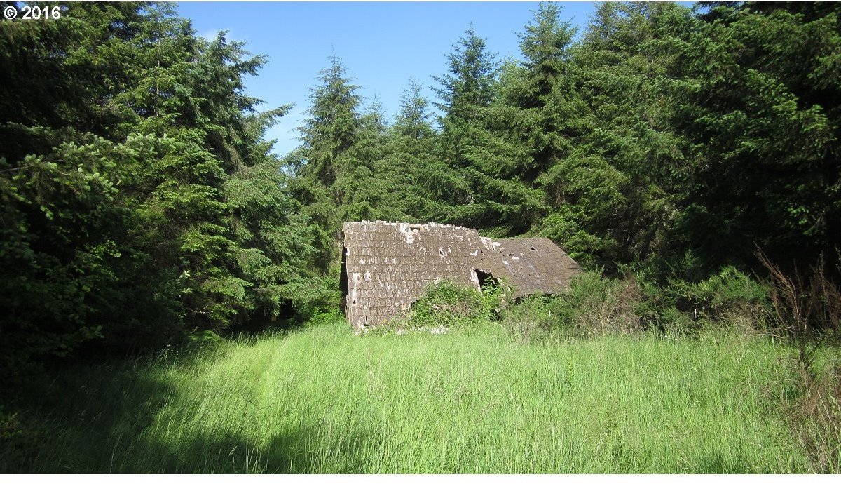 Tennessee Road Winlock, WA 98596 - Photo 10 of 12