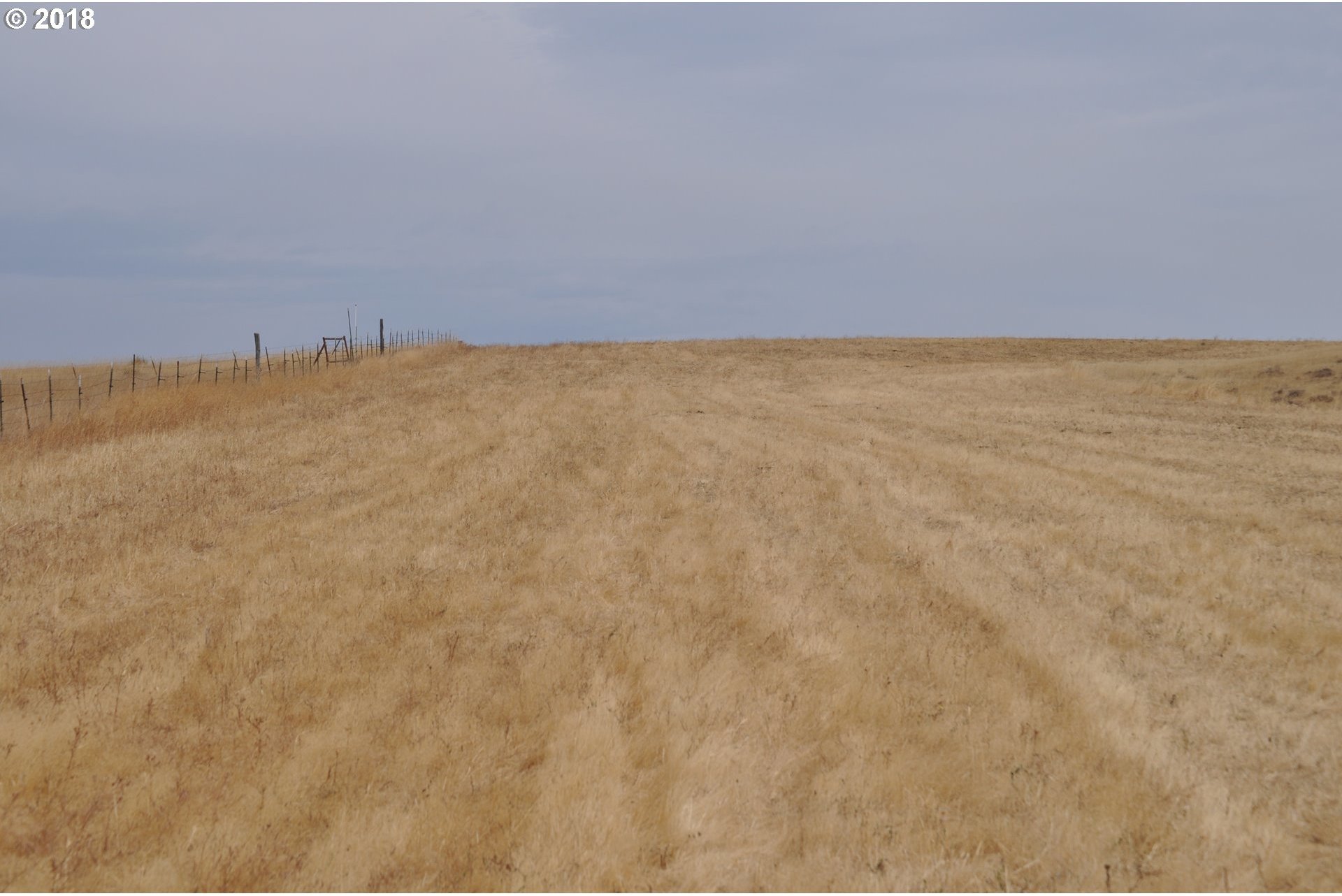 481 Bickleton Highway Goldendale, WA 98620 - Photo 5 of 9 Gallery Image 5