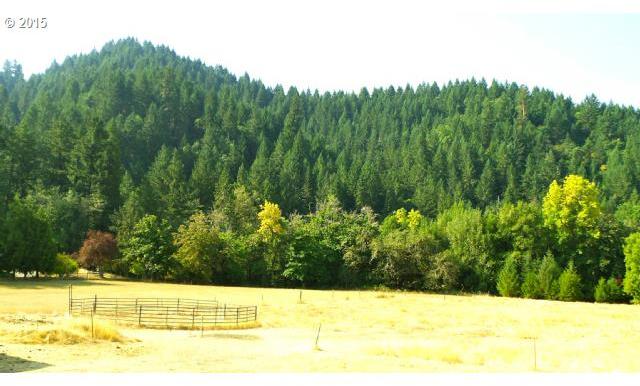 2443 South Myrtle Road Myrtle Creek, OR 97457 - Photo 4 of 16 Gallery Image 4