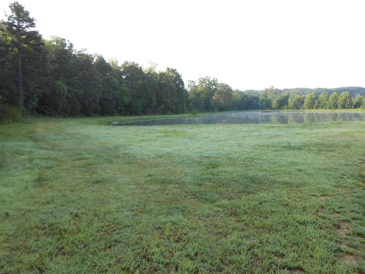 692 Center Hill Road Finger, TN 38334 - Photo 15 of 17