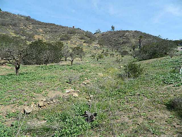 39758 Daily Road Fallbrook, CA 92028 - Photo 7 of 12