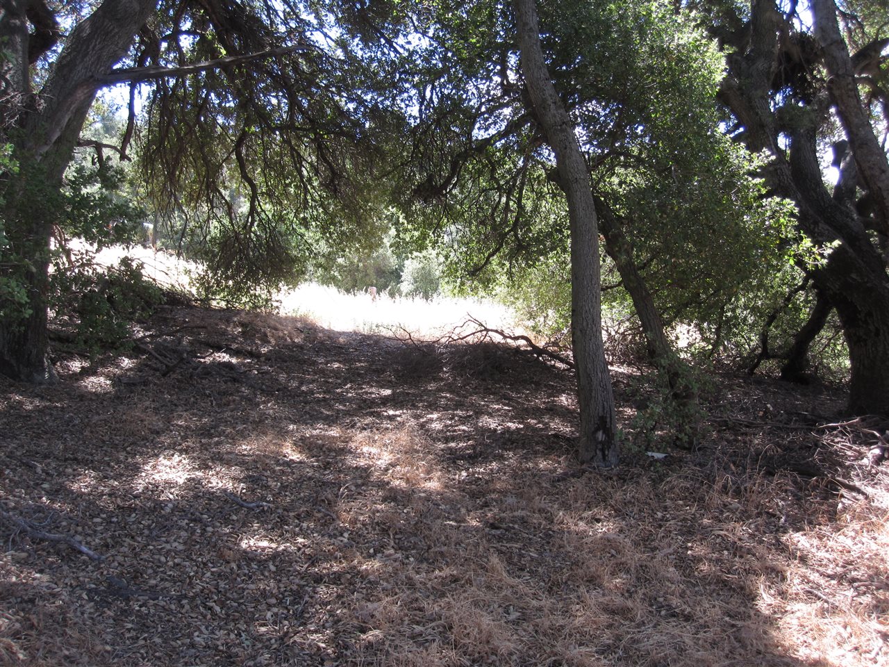 7395 Engineers Road Julian, CA 92036 - Photo 7 of 11