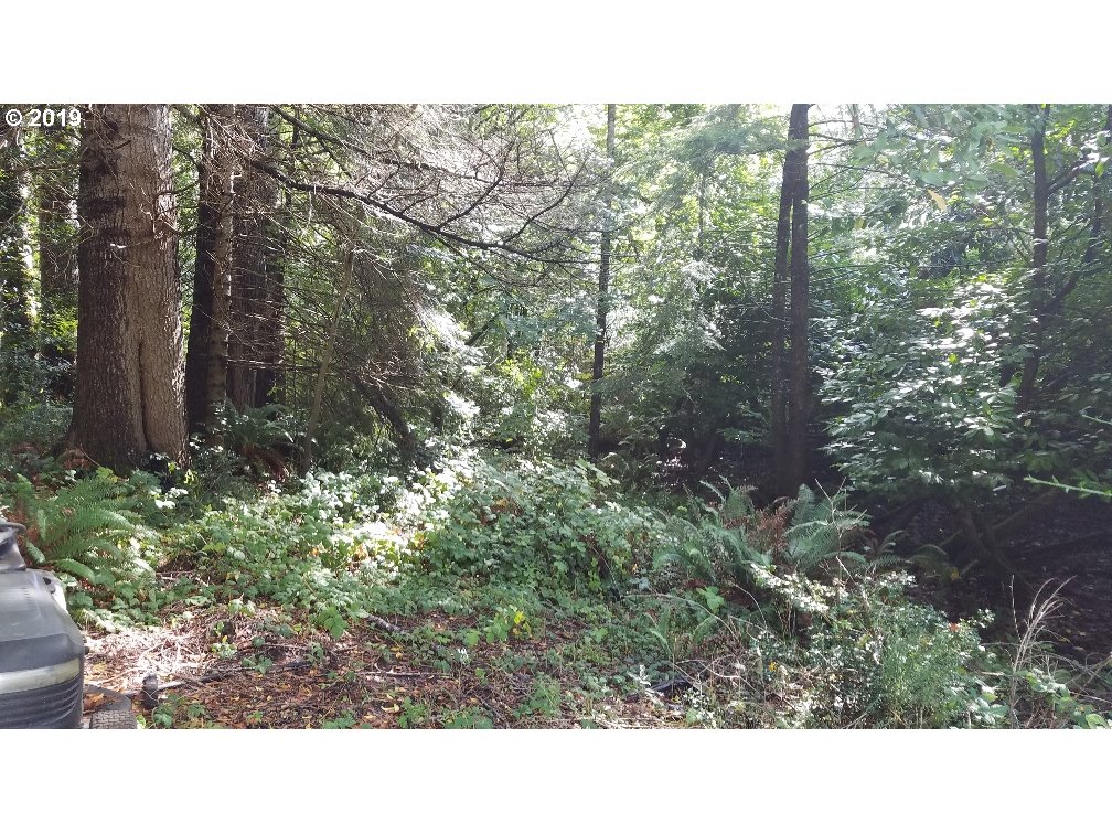 61301 Ross Inlet Road Coos Bay, OR 97420 - Photo 7 of 12 Gallery Image 7