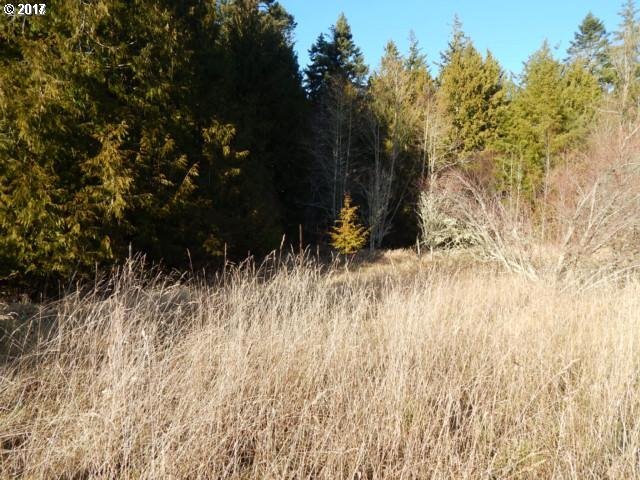 0 Fat Elk Road Coquille, OR 97423 - Photo 4 of 4 Gallery Image 4