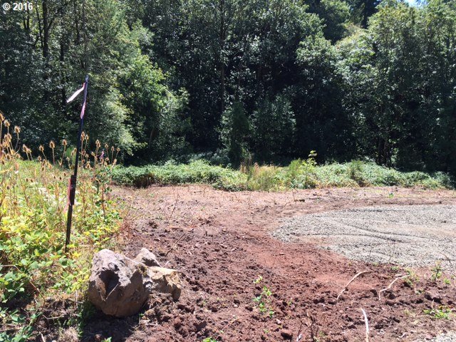 259 Large Road Kalama, WA 98625 - Photo 13 of 23 Gallery Image 13