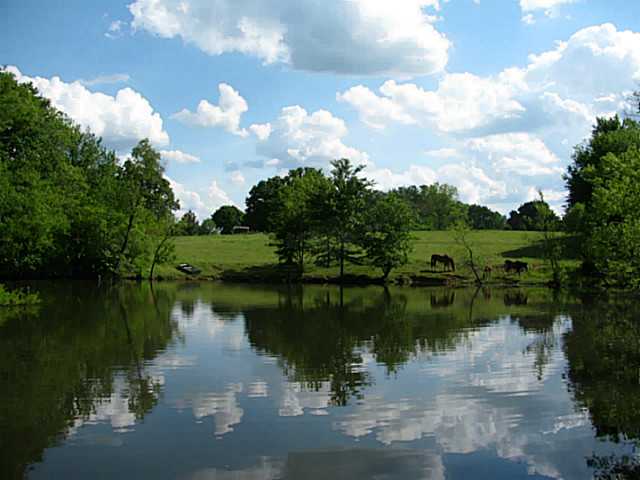 325 Boling Road Morris Chapel, TN 38361 - Photo 2 of 20 Gallery Image 2