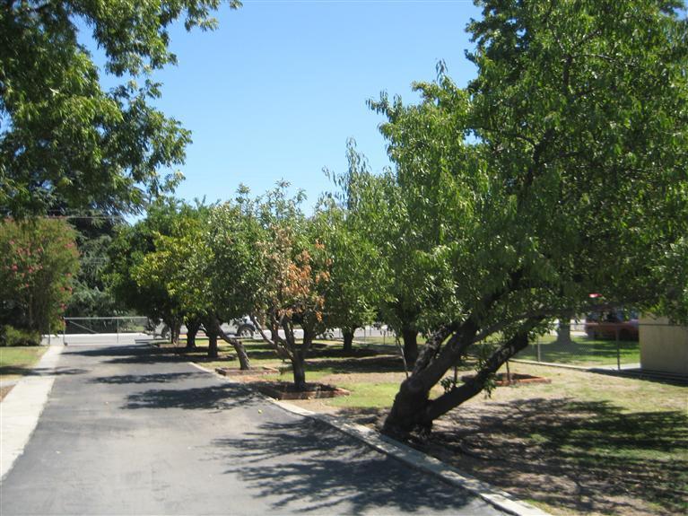 953 Baldwin Road Bakersfield, CA 93304 - Photo 8 of 10 Gallery Image 8