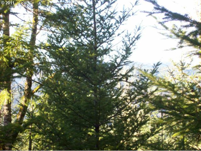 0 Northwest Ridge Road Forest Grove, OR 97116 - Photo 3 of 13 Gallery Image 3