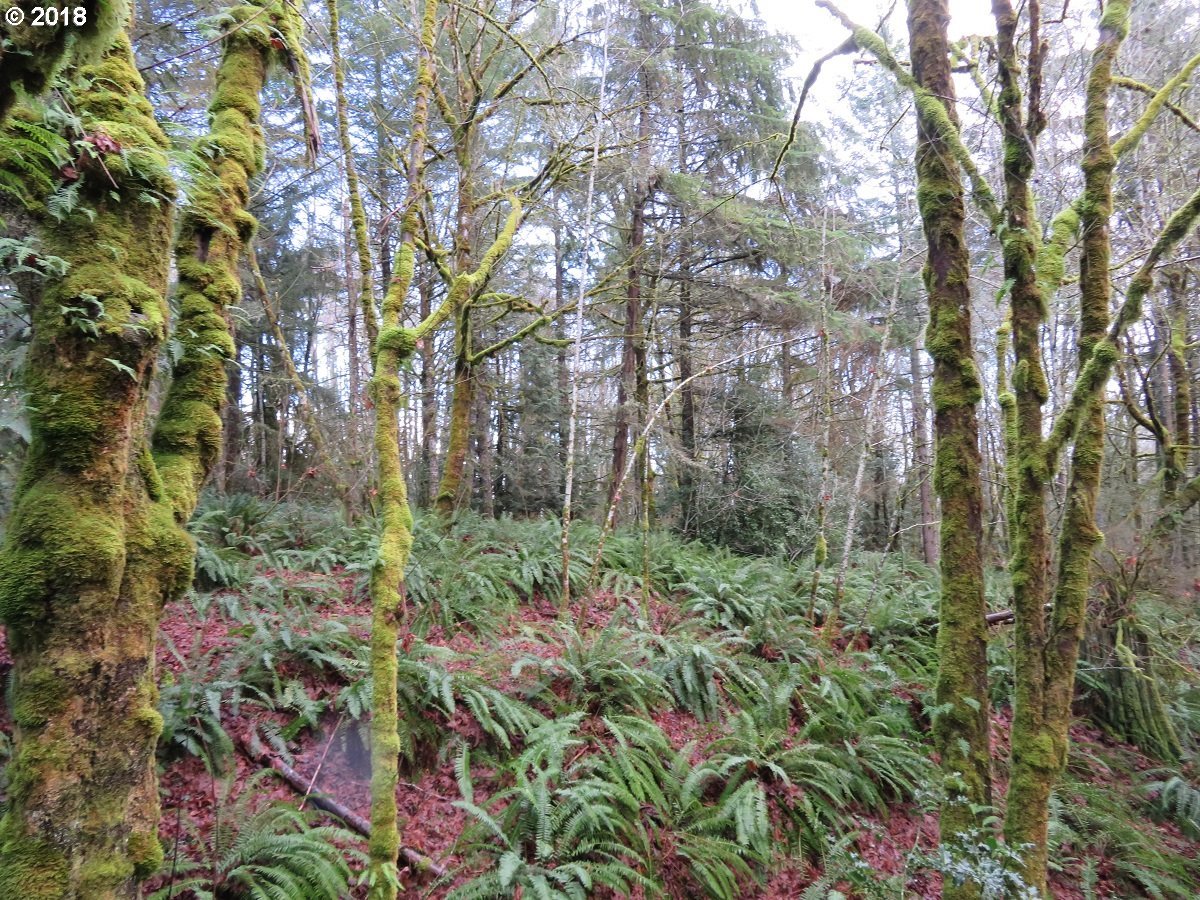 River Heights Road Centralia, WA 98531 - Photo 29 of 32 Gallery Image 29
