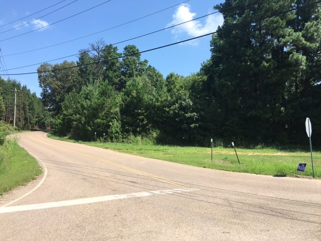 0 North Reid Hooker Road Eads, TN 38028 - Photo 5 of 6 Gallery Image 5