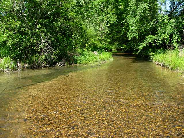 2126 2nd Creek Road Lutts, TN 38471 - Photo 13 of 15