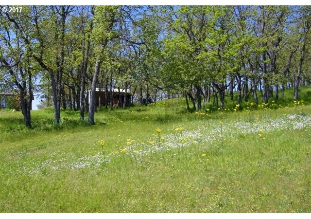 27 Knapp Road Lyle, WA 98635 - Photo 29 of 32 Gallery Image 29