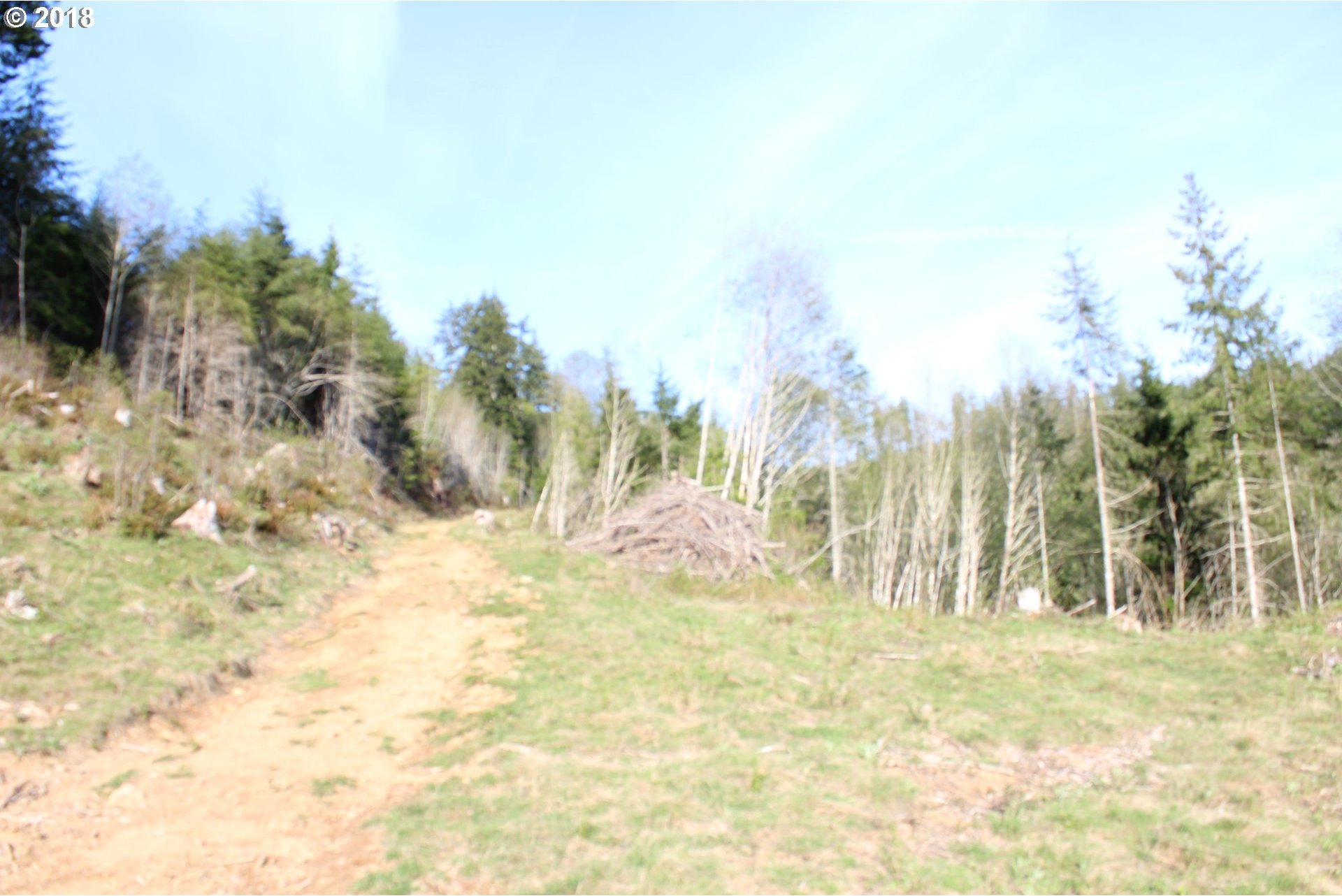 Elochoman Valley Cathlamet, WA 98612 - Photo 8 of 26