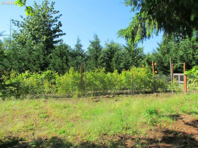 546 Lane Road Woodland, WA 98674 - Photo 8 of 16 Gallery Image 8