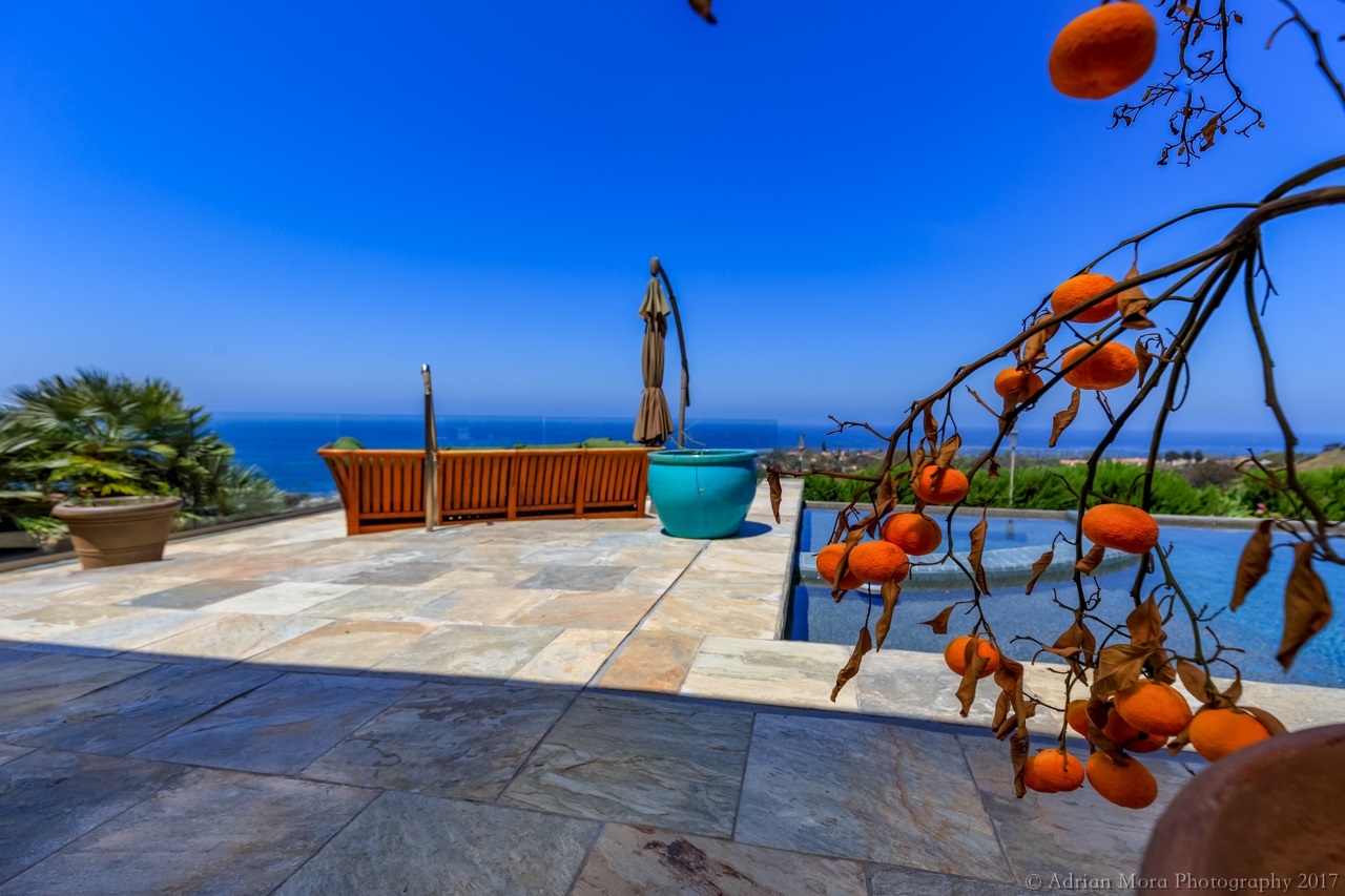 832 La Jolla Rancho Road La Jolla, CA 92037 - Photo 7 of 25