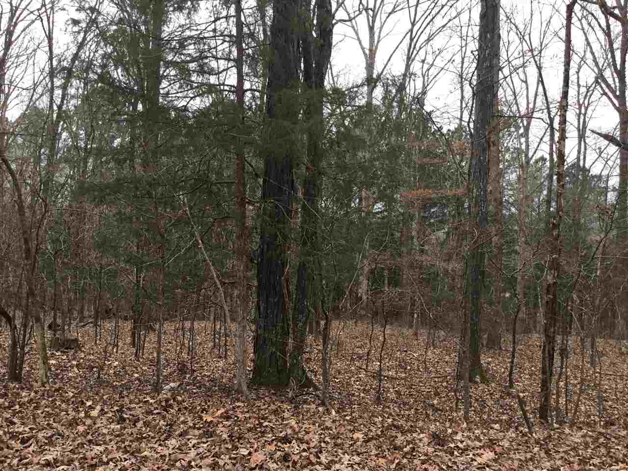 Lot # 0 Newman Road Saltillo, TN 38371 - Photo 2 of 5