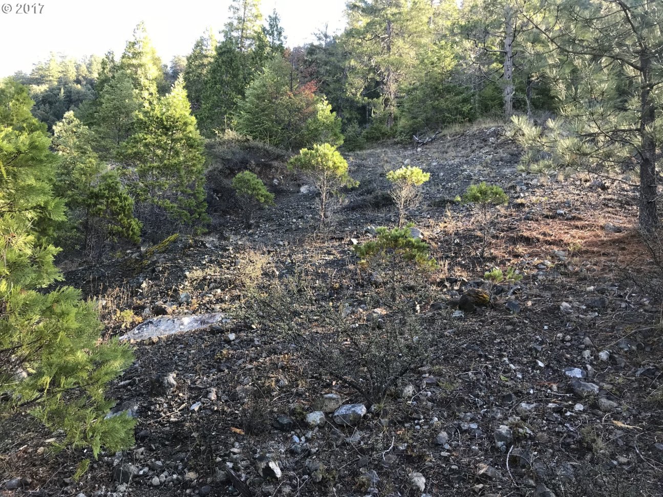 Old House Creek Road Agness, OR 97406 - Photo 3 of 31