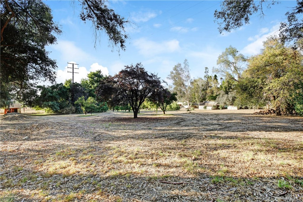 2840 Mill Creek Road Mentone, CA 92359 - Photo 13 of 24