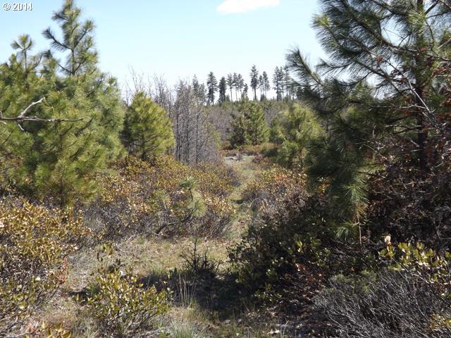 Munson Prairie Road Goldendale, WA 98620 - Photo 12 of 15 Gallery Image 12