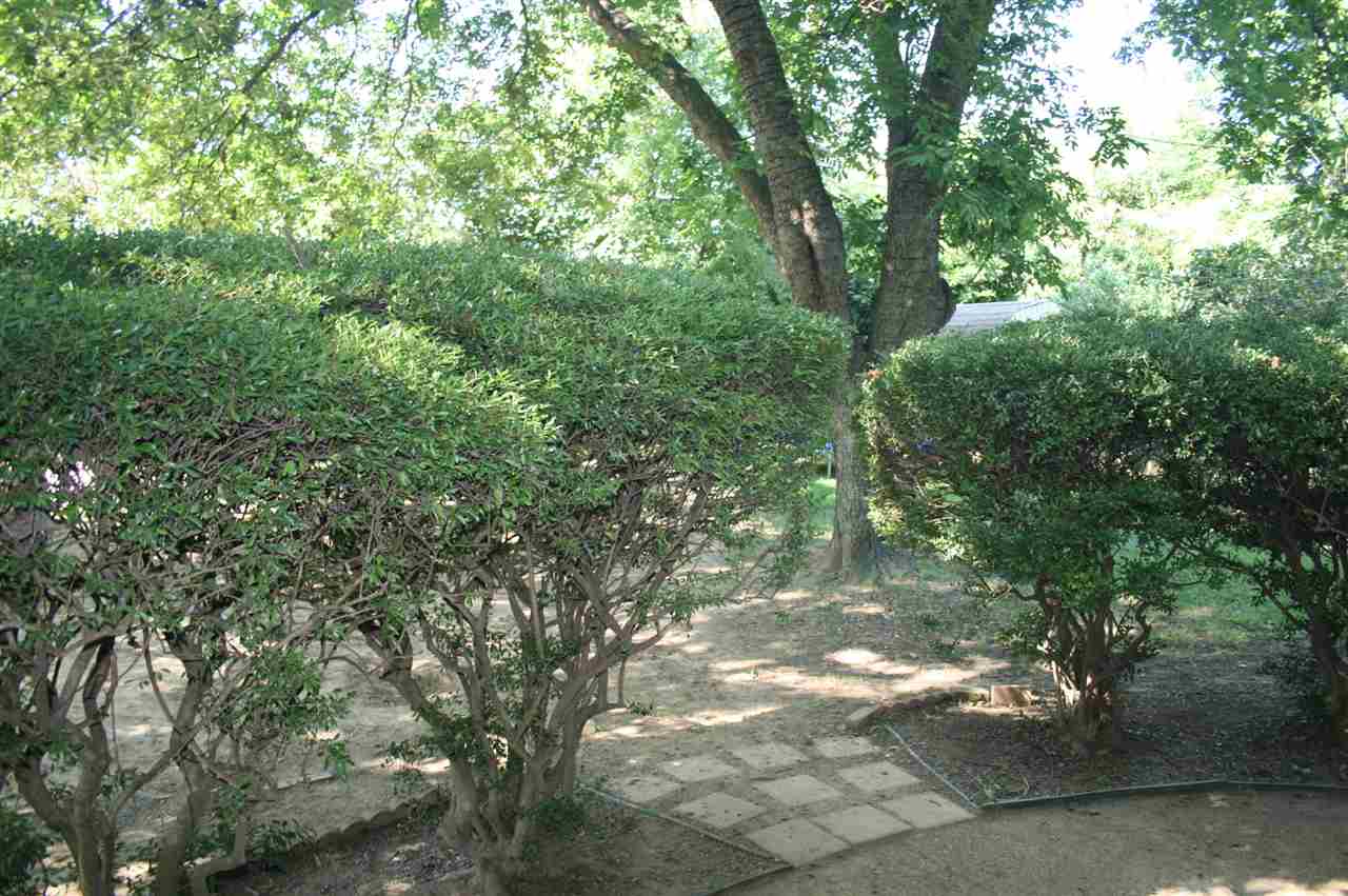 4855 Amboy Road Memphis, TN 38117 - Photo 21 of 25 Patio has a nice private feel because it is encircled by these hedges which then open to a BIG yard.
