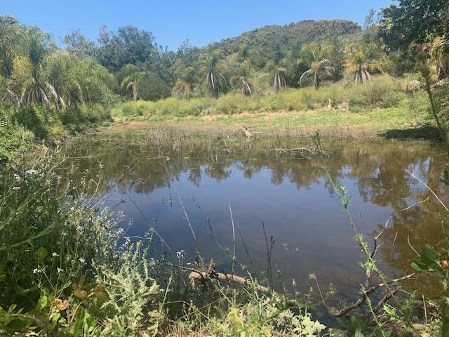 Camino Rainbow Fallbrook Ca Fallbrook, CA 92028 - Photo 5 of 25