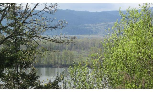Maple Ridge Road, Unit 18 Cathlamet, WA 98612 - Photo 9 of 16 Gallery Image 9